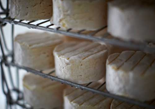 carrigbryne cheese