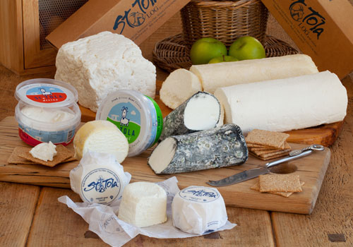 st tola cheese